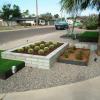 Turf & Plantings